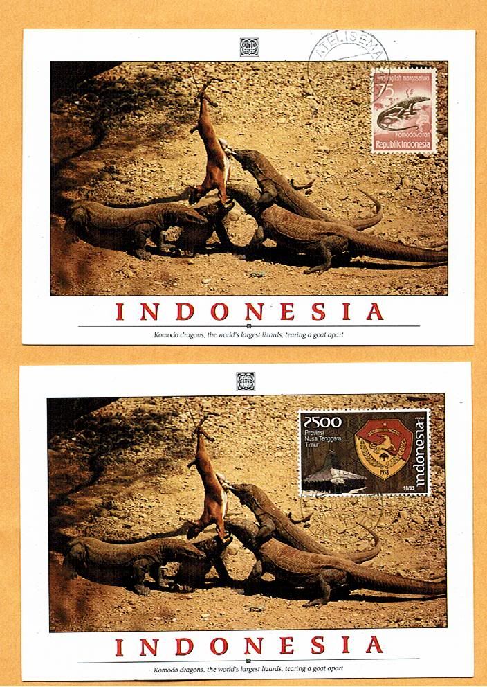 http://i289.photobucket.com/albums/ll201/dorincard/World%20collections/Indonesia/INDONESIA7.jpg