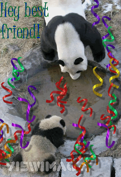 pandafriendtag.gif
