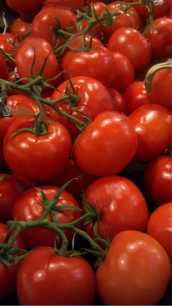 tomatoes