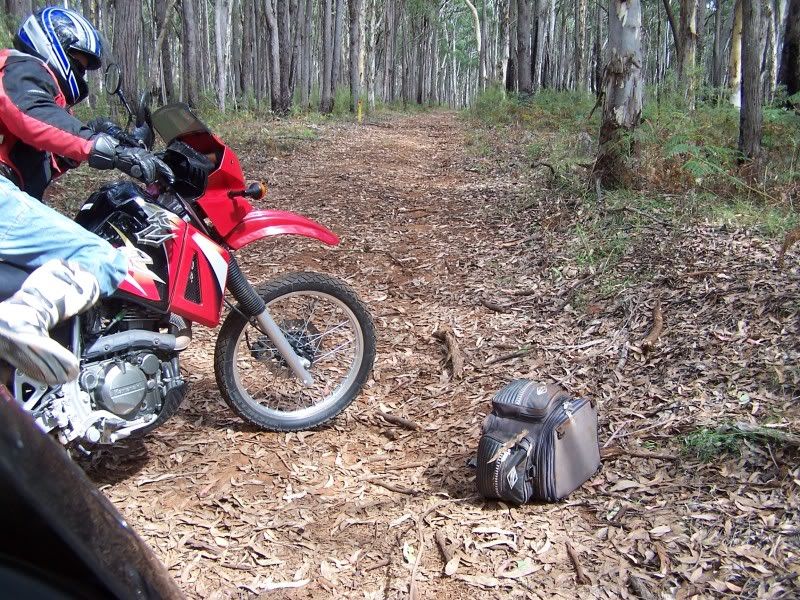 MtKaputarride006.jpg