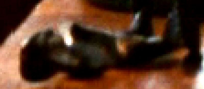 69289686-c896-4b5a-9e01-2d6e6fec5b4a_zpsd3cbqm0n.jpg