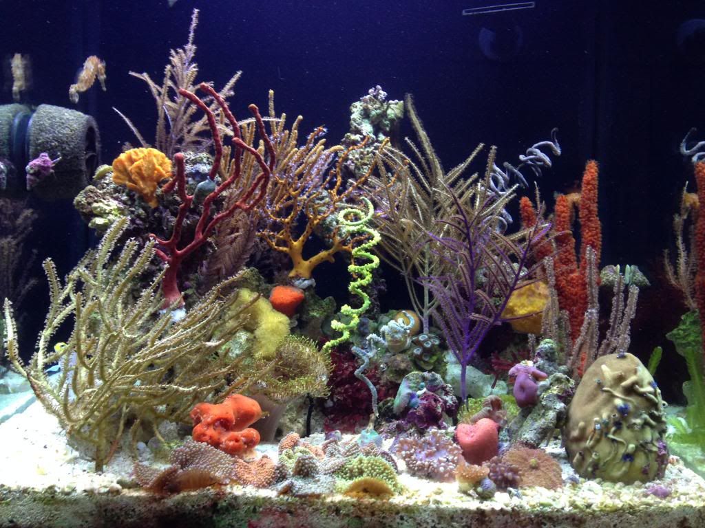 FTS11-14-13.jpg