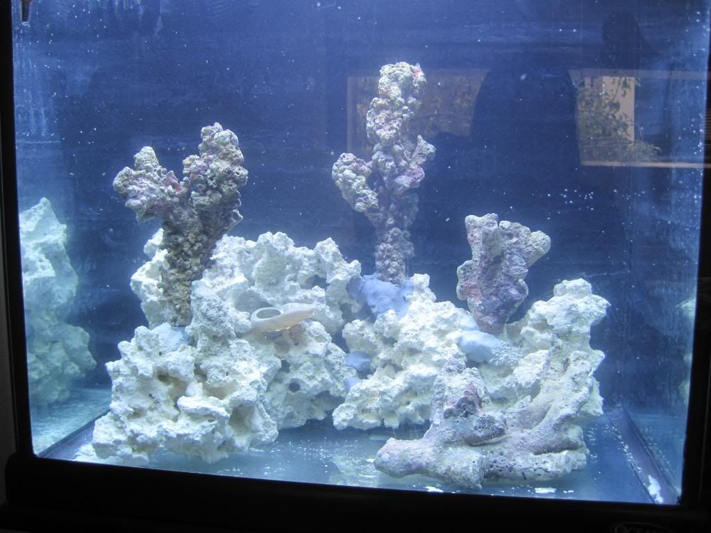 30 Gallon Oceanic Glass Cube - 20"W x 18"D x 20"H