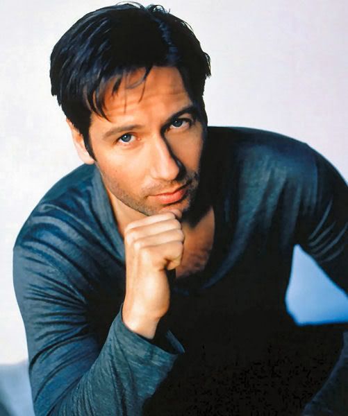 David Duchovny - Picture Hot