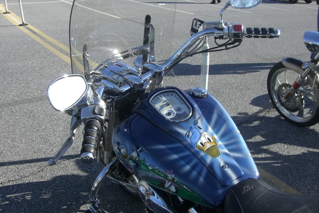donald duck harley