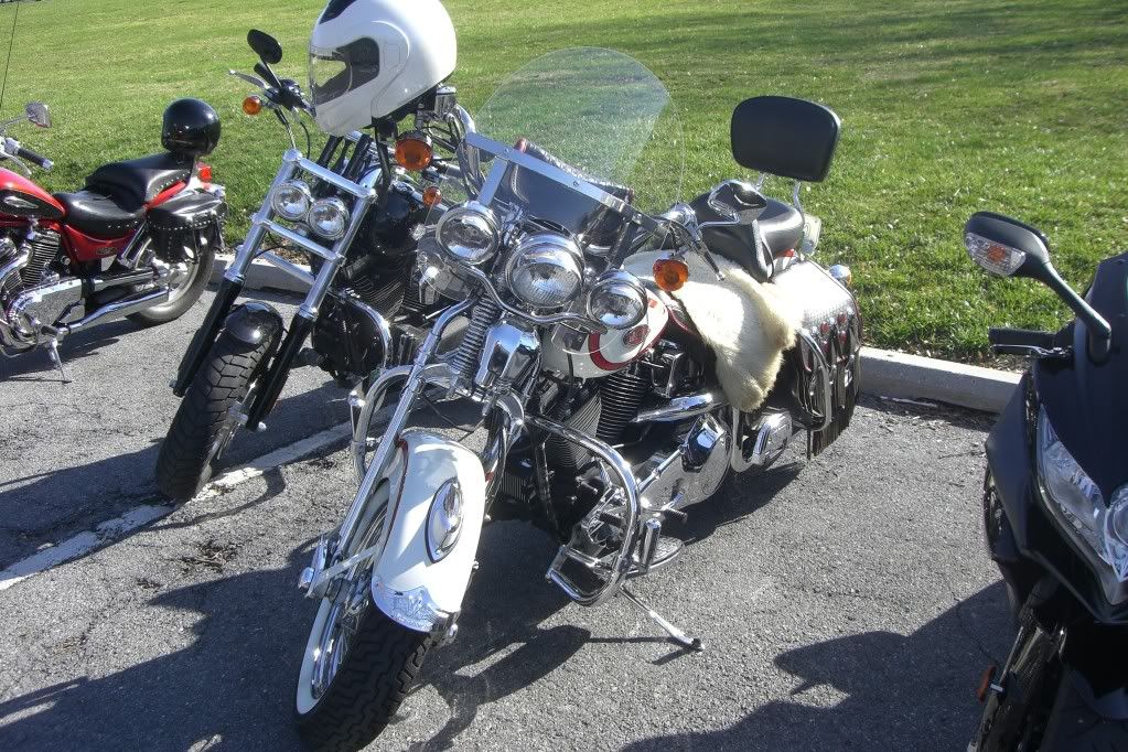harleys