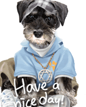 have nice day Pictures, Images and Photos