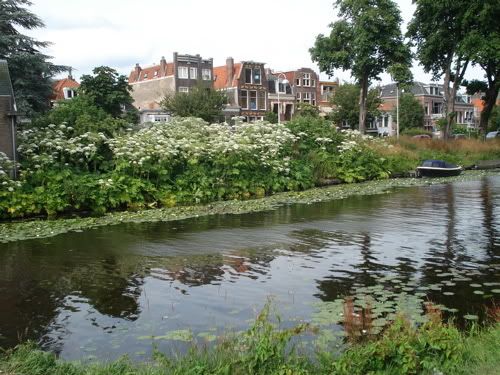 canal on the way into Leiden center