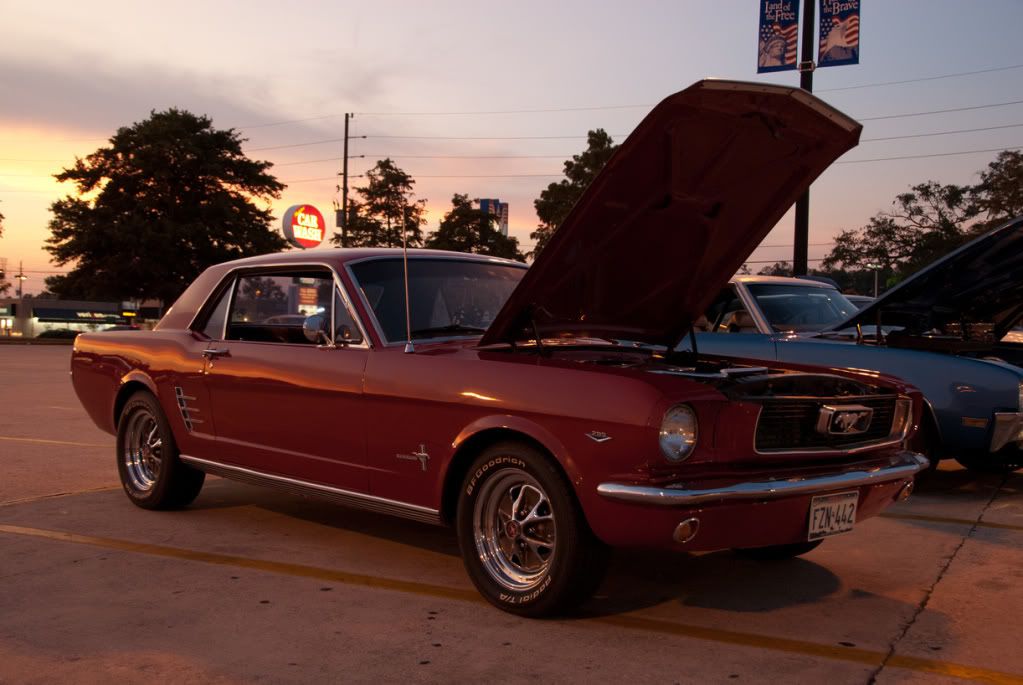 Mustang8-20-11.jpg