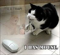 Mouse catcher Pictures, Images and Photos