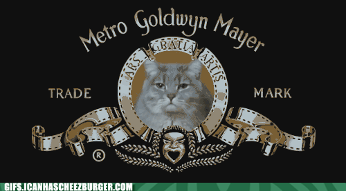 MGM "lion"