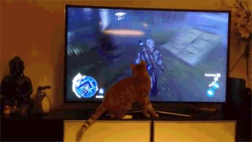 Where'd he go?