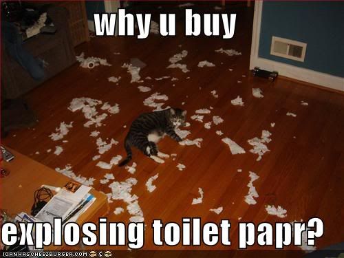 funny-pictures-cat-wonders-why-you-.jpg explosing toilet paper image by CaptCroqueta