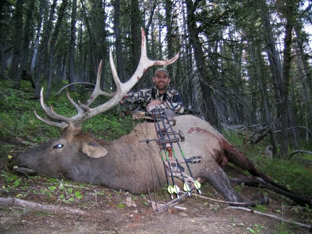 2009Elk.jpg