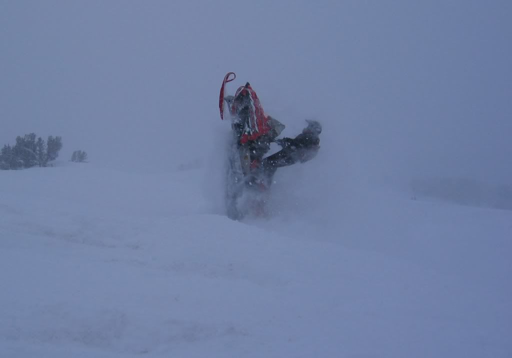 Sleddin2008007.jpg