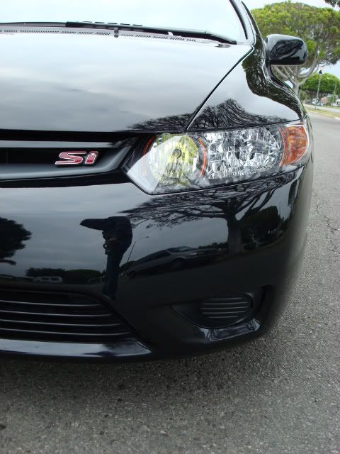 DSC02219-1.jpg