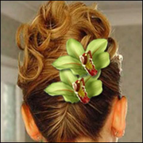 Bridesmaid Hairstyles on Bridesmaids    Bridesmaid Hair Idea 2 Picture By Leighdave
