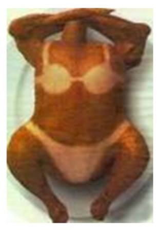 pollobronceado.jpg picture by Munequitabb_7