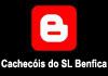 Cachecóis do SL Benfica