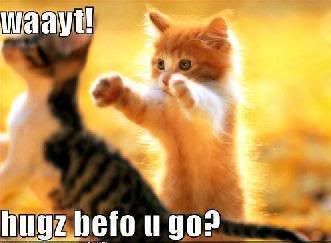 hugs-1.jpg Kitten hugs image by canne821