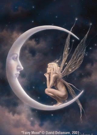 fairy moon Pictures, Images and Photos