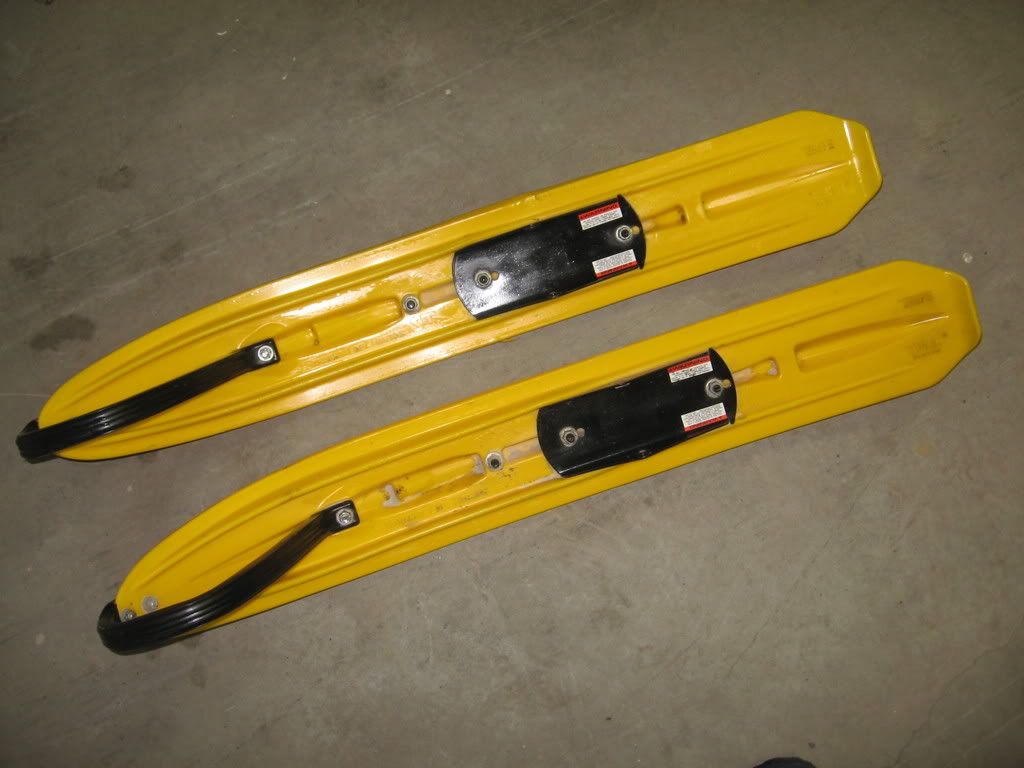 skisx9001.jpg