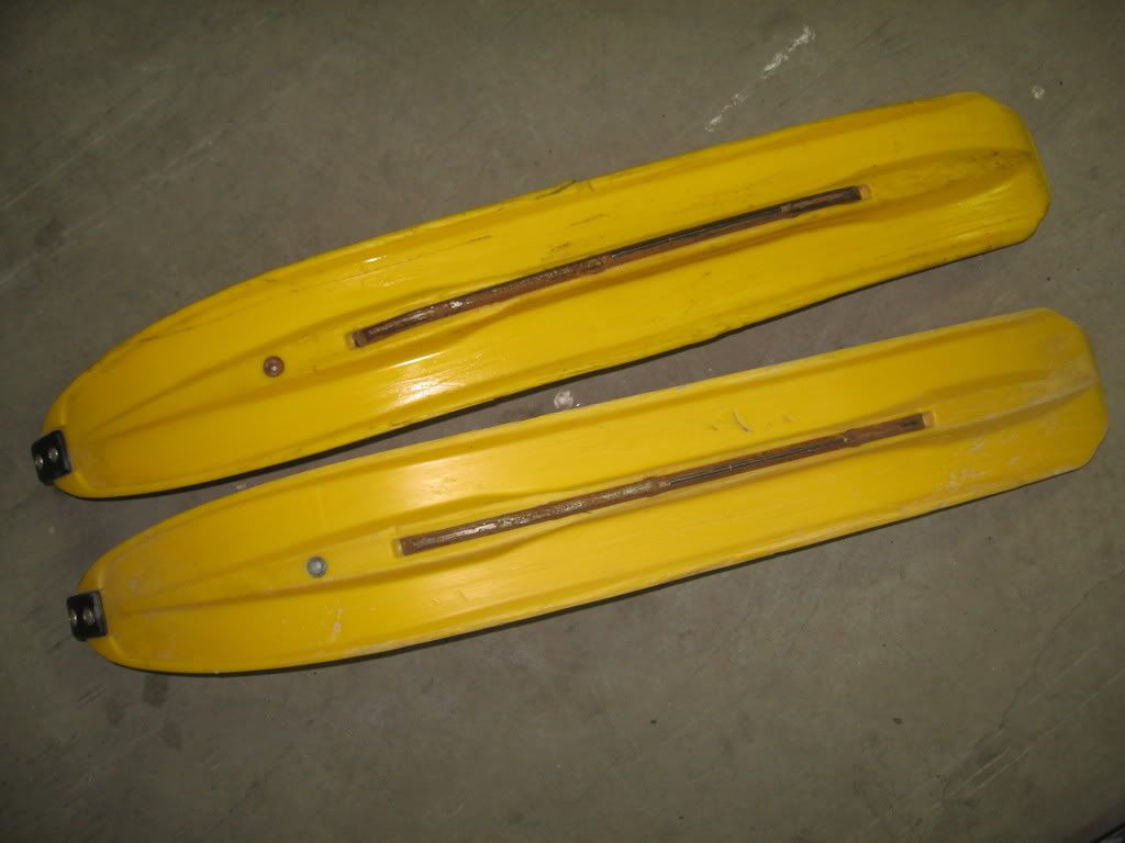 skisx9002.jpg