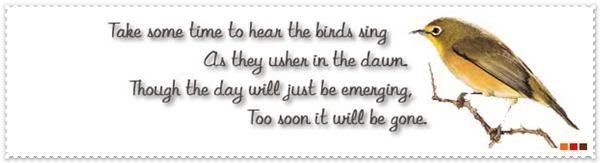 take some time to hear the birds sing