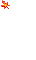 657028ud8s740990.gif