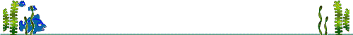 66914u94bzuuegv-1.gif