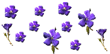 726748rpx5e6a51d.gif picture by rainnysunday