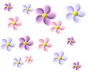 947604t8cckx29hh.gif