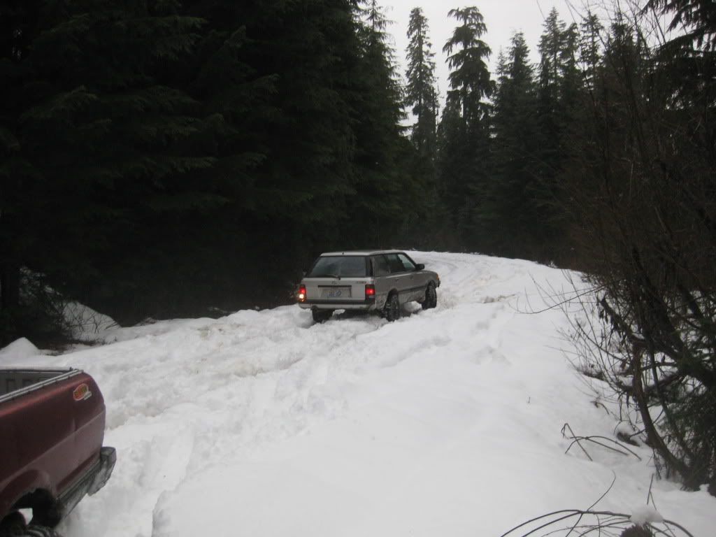 Posted Image