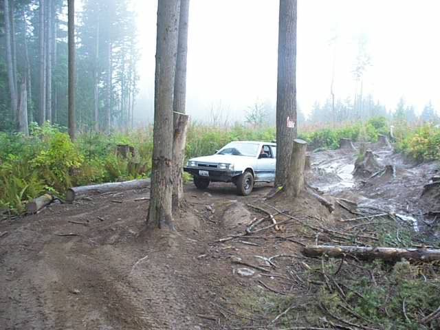 Posted Image