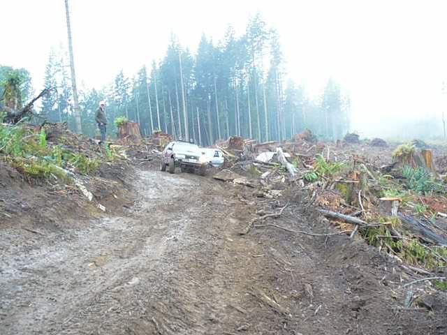 Posted Image