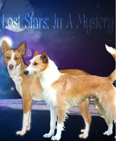 LostStar: A Little Mystery