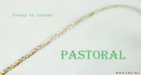 Tai nghe Custom. Hàng cao cấp dành cho Pro-Audiophiles và giới Nghệ Sĩ Âm Nhạc - 7