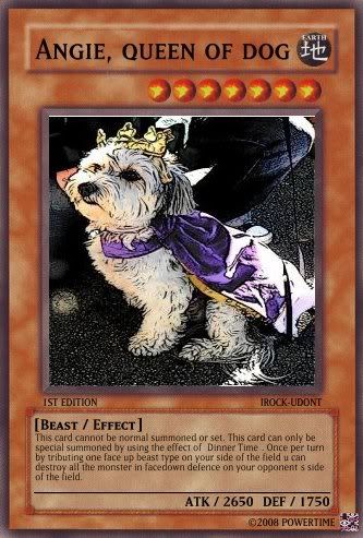 Awsomepicangiequeenofdog.jpg