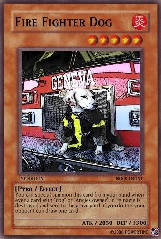 FireFighterDog.jpg