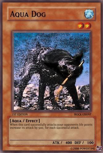aquadog.jpg