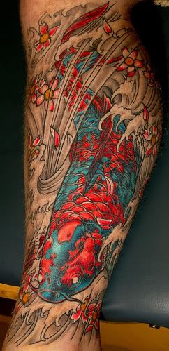 Coi+Carp+Tattoo 