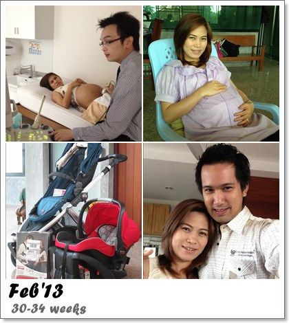 All the year 2013