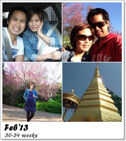 All the year 2013
