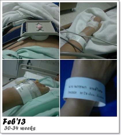 All the year 2013