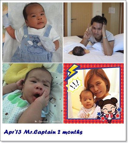 All the year 2013
