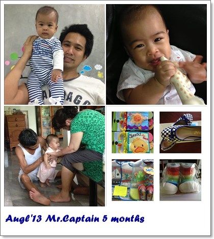 All the year 2013
