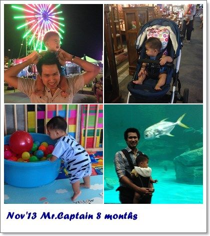 All the year 2013