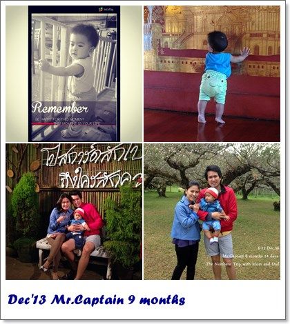 All the year 2013