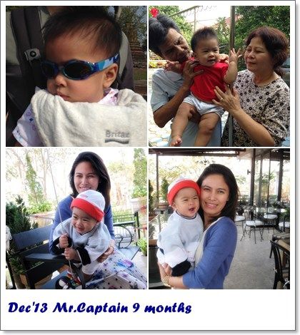 All the year 2013