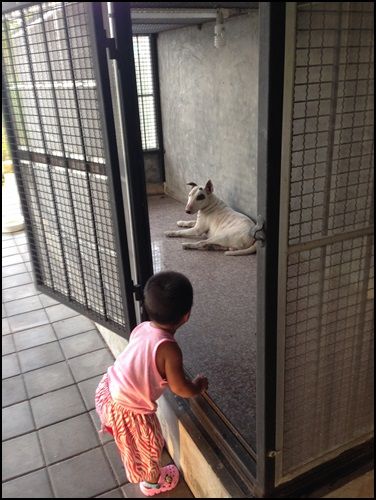Mr Captain 1 y 1 m กิจกรรมของเด็ก 1 ขวบ
